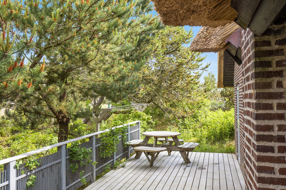 Wunderschönes Reetdachhaus mit Sauna mitten in den Dünen